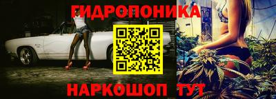 МДПВ Аша