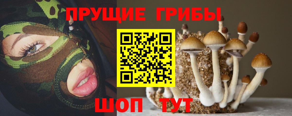 Псилоцибиновые грибы мухоморы  купить   Иркутск  Галлюциногенные грибы Cubensis  Вход с VPN 