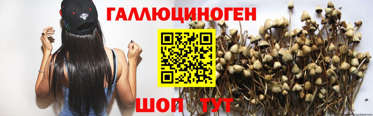 Галлюциногенные грибы прущие грибы Иркутск